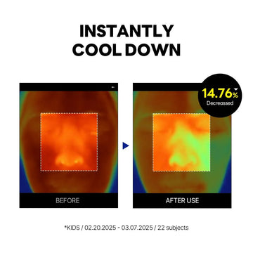 Round Lab Birch Juice Moisturizing UVlock Sun Cushion 15g (OTC)