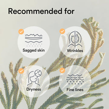 Abib Vegan Collagen Gel Mask Jericho Rose Jelly 4 Sheets (Nourishing) I Korean Vegan Collagen, Cooling Nourishing Hyaluronic Acid Hydrogel Face Mask Skin Care
