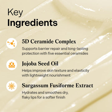 Torriden SOLID In Ceramide Lip Essence 0.37 fl.oz * 2 (Pack of 2) | Moisturizing Lip Essence for Glowy, Plumped, and Radiant Lip | Korean Lip Balm