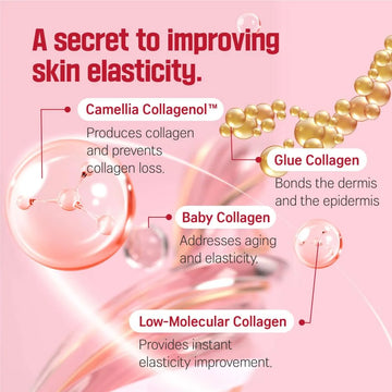 Round Lab Camellia Deep Collagen Firming Serum 30ml – Anti-Aging, Wrinkle Care & Skin Elasticity Booster