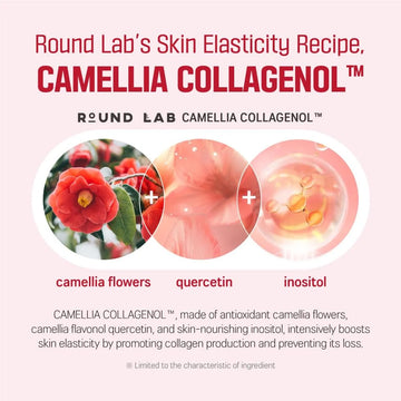 Round Lab Camellia Deep Collagen Firming Serum 30ml – Anti-Aging, Wrinkle Care & Skin Elasticity Booster